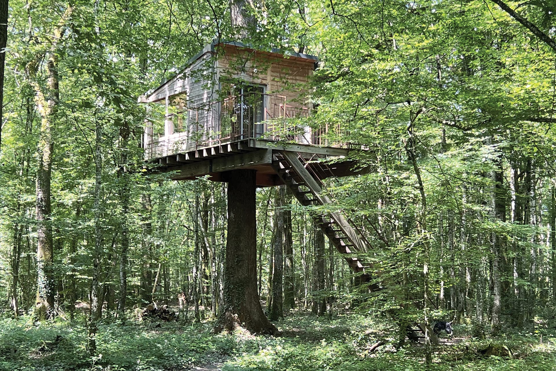 cabane insolite Nid sous les Etoiles