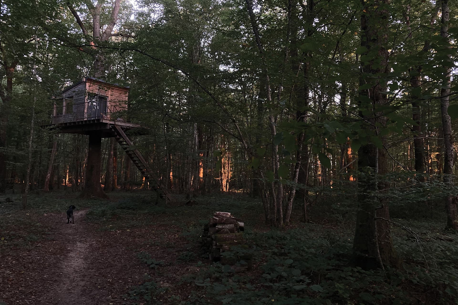 nid-sous-les-etoiles6